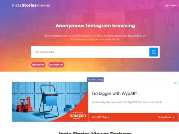 insta-stories-viewer.com