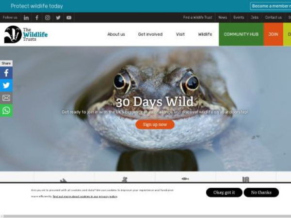 wildlifetrusts.org